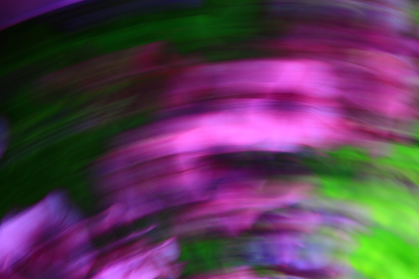 Challenge. Trois photos : violet, nuit et macro/proxi. Septembre 2026